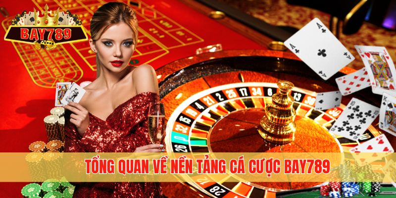 Tổng quan về nền tảng cá cược Bay789